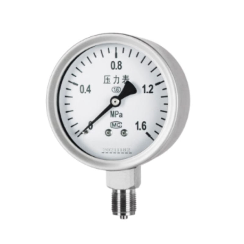 YLB Pressure Gauge Series